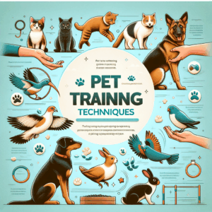 Effective Pet Training Techniques for Every Owner