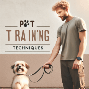 Effective Pet Training Techniques for a Well-Behaved Companion